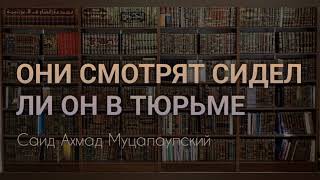 Они смотрят сидел ли ОН В ТЮРЬМЕ. Саид Ахмад Муцалаулский