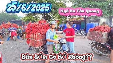 Sáng Ngày Mùng 1 - Giá Vải Thiều Ít Nhích Lên l Núi Đồi Lục Ngạn