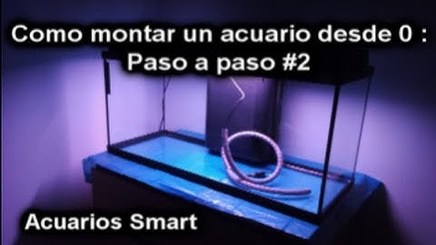 Como montar un acuario desde 0 : Paso a Paso #2