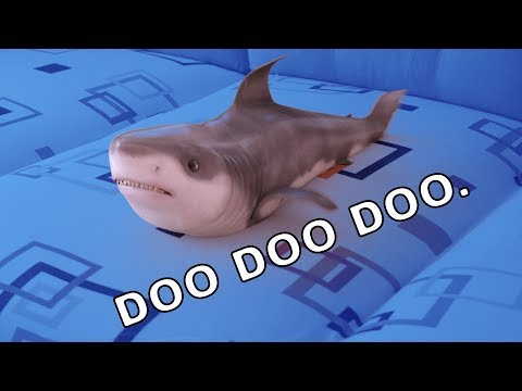 Baby Shark dancing Baby Shark