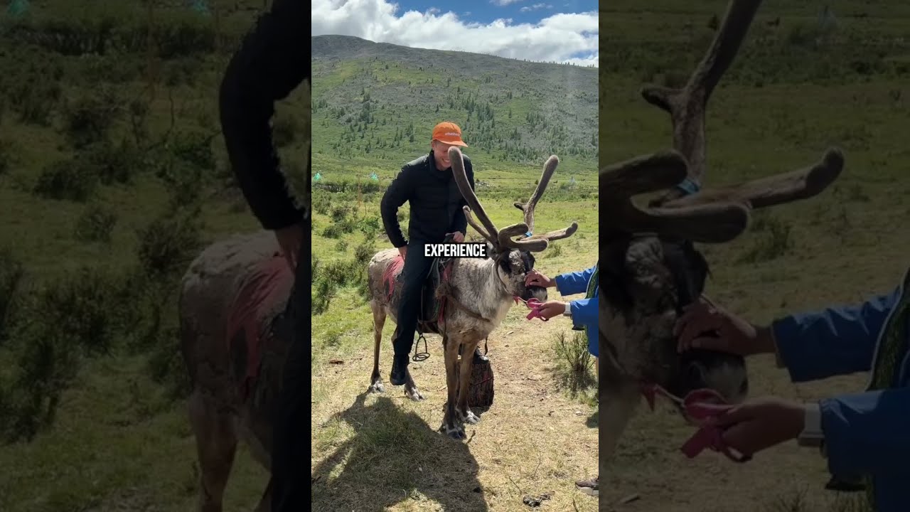 I Rode A Reindeer In Northern Mongolia