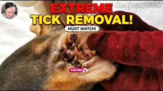 Easy and Safety Way To Remove All Big Ticks and Small Ticks From Poor Dog @VCDTVOfficial