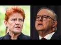 Labor attempts to combat One Nation's surging support with crazy move
