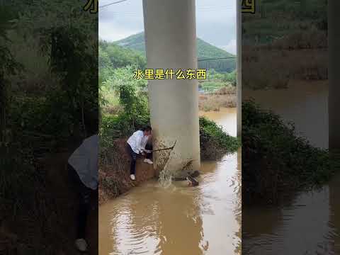 BEST ACTION FUNNY SHORTVIDEO FISHING ✂️ 💯 #shortvideo #action #comedy