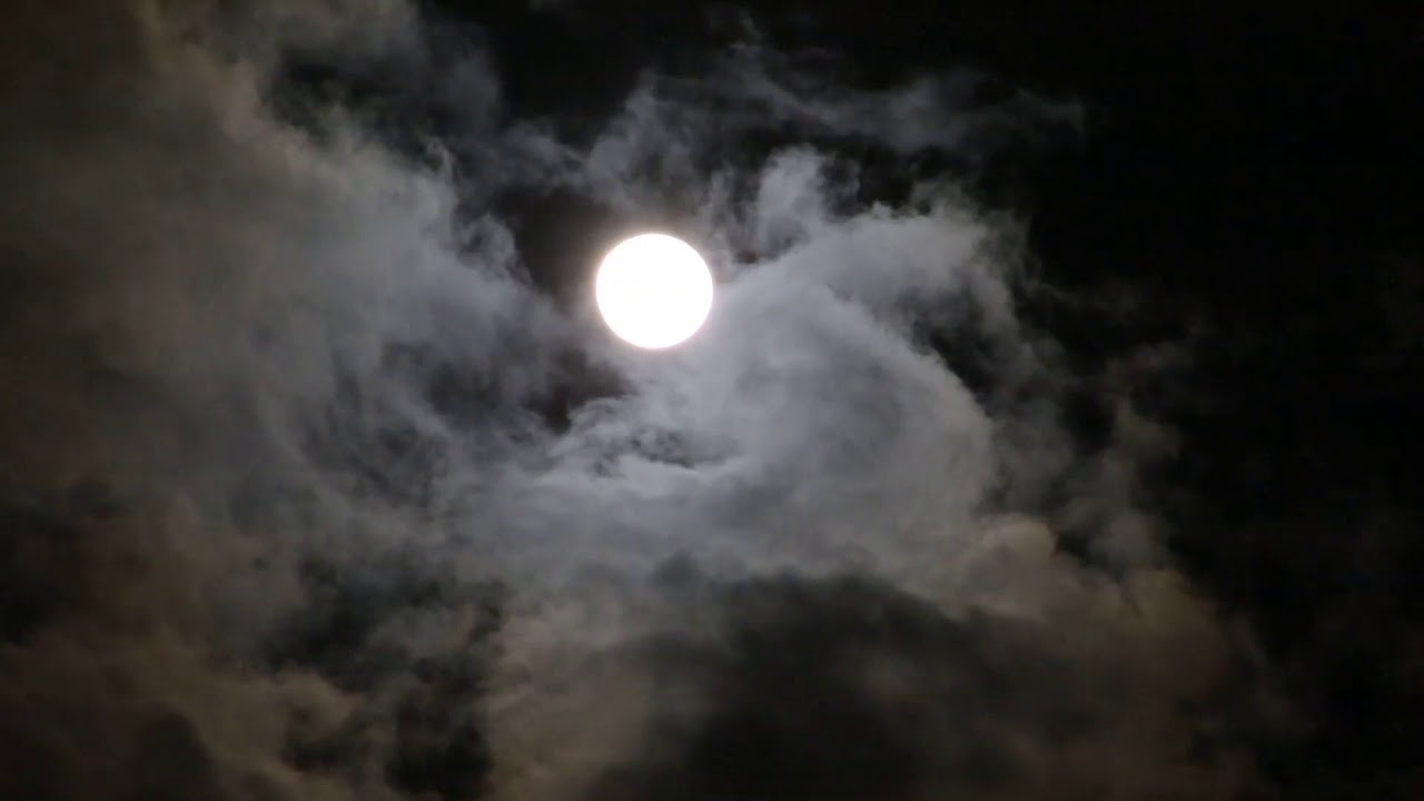 Time for TrueCalling | Evening Gratitude Meditation