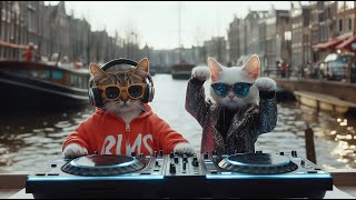 Download Lagu DJ MIAWW Live β Love Beats on the Amsterdam Canals π₯οΈ π | Chill House Grooves with the Purrfect Duo MP3 Download Lagu DJ MIAWW Live β Love Beats on the Amsterdam Canals π₯οΈ π | Chill House Grooves with the Purrfect Duo MP3