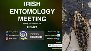 Irish Entomology Meeting 2023 ~ Aquatic & other - Session 3, Part 3 with Toby Edwards