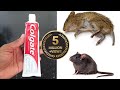 Magic colgate   how to kill rats within 10 minutes  home remedy  magic ingredient  mr maker