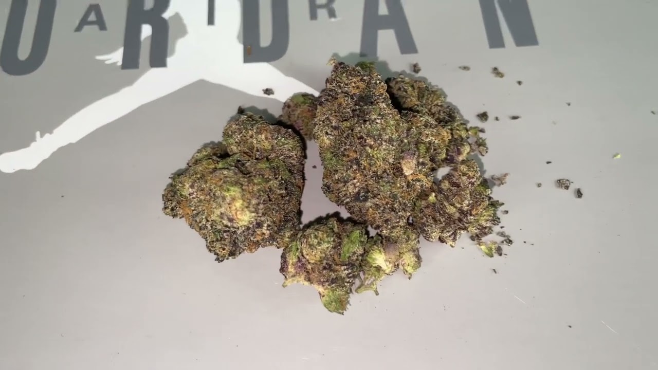 BLUE LEMONHEADZ BACKPACK BOYZ