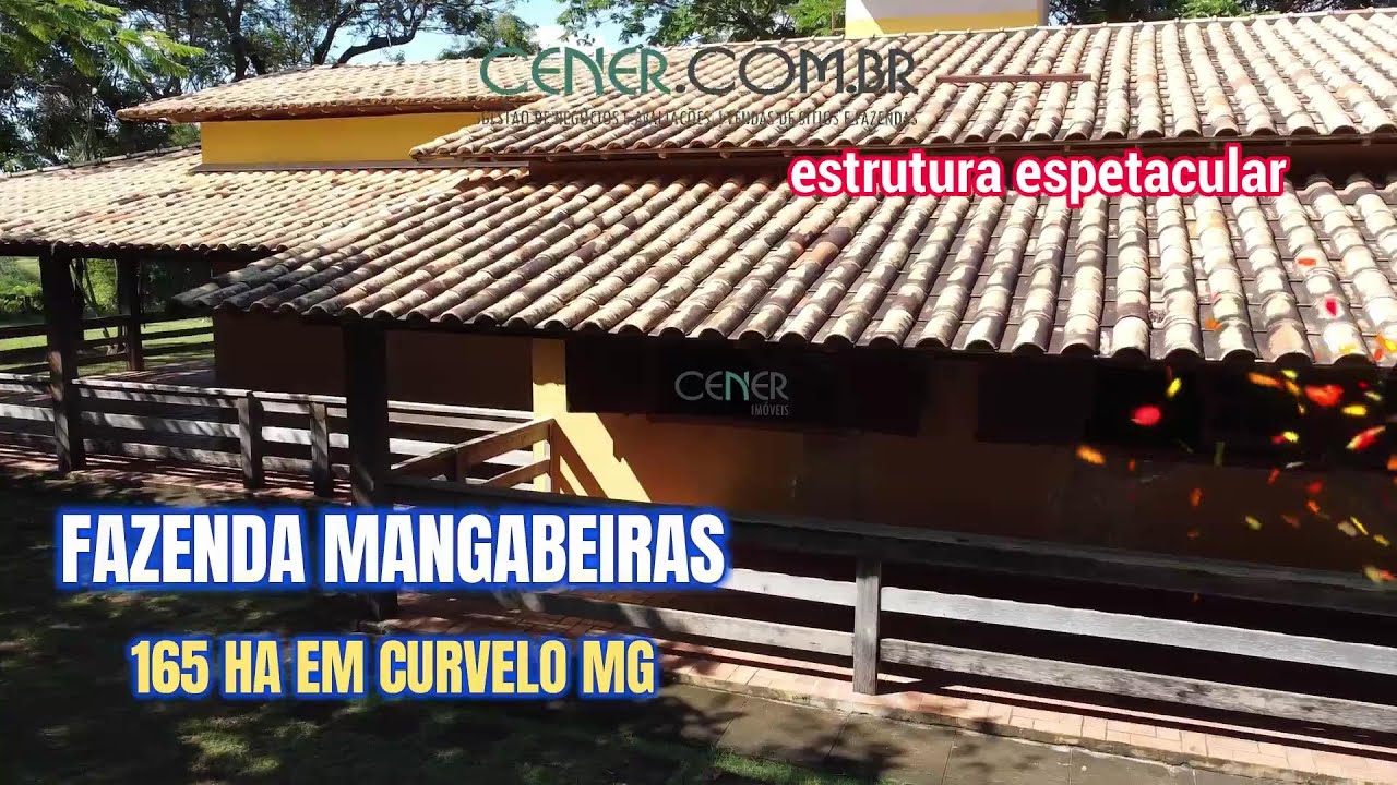 Cener Imóveis 2801 Excelente fazenda de 165 ha por 4 500 mil em Curvelo MG