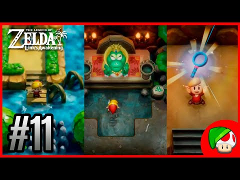 Detonado 100% Zelda Links Awakening 2019 (Switch) 