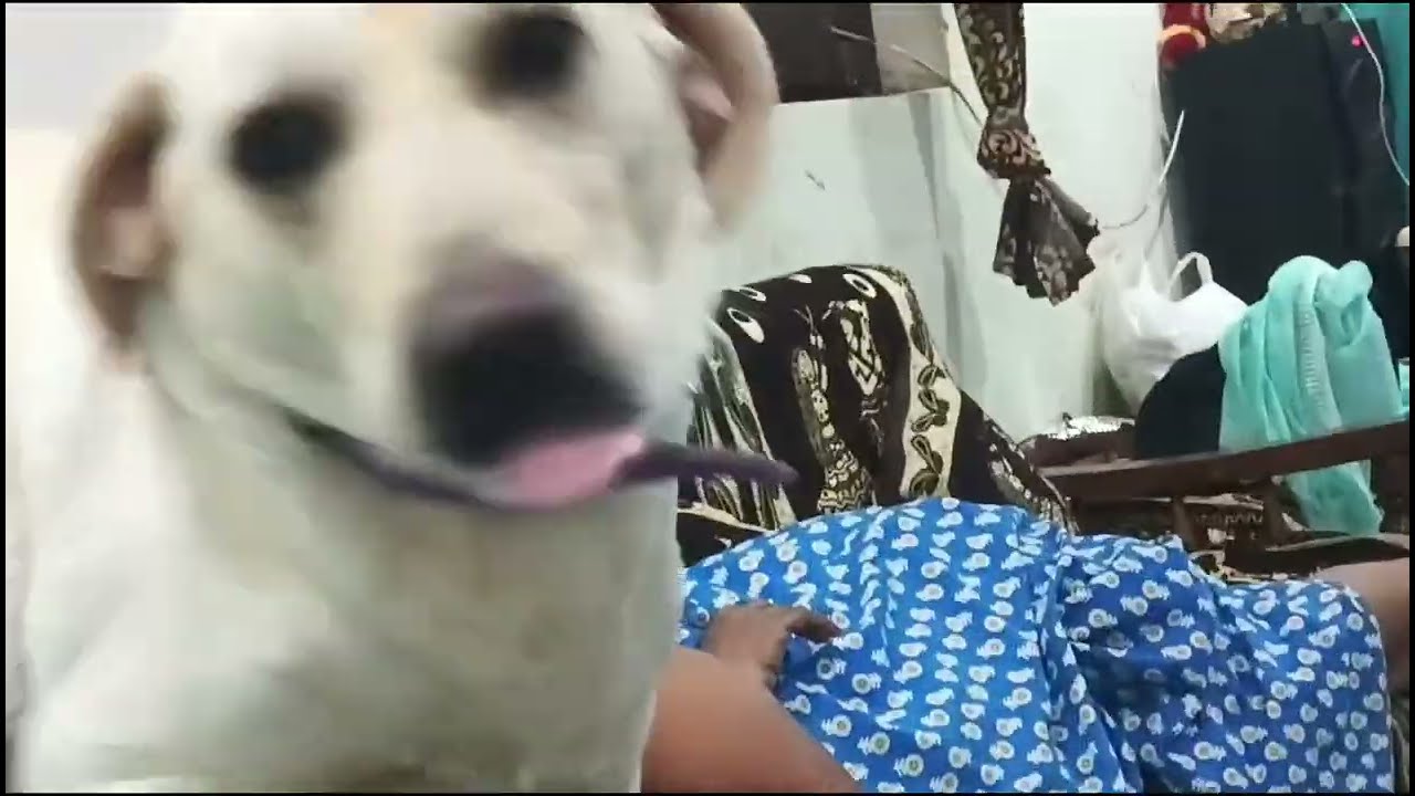 ella mummy ko shotey se utha rahi hai 😇😇😇😘😘