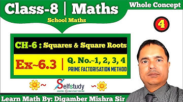 Class 8 NCERT Math | Chspter-6 | Squares and Square Roots | Ex-6.3 | Q. No~1,2,3,4