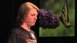 What if we linked curiosity to education?: Cole Harmon at TEDxMahtomedi