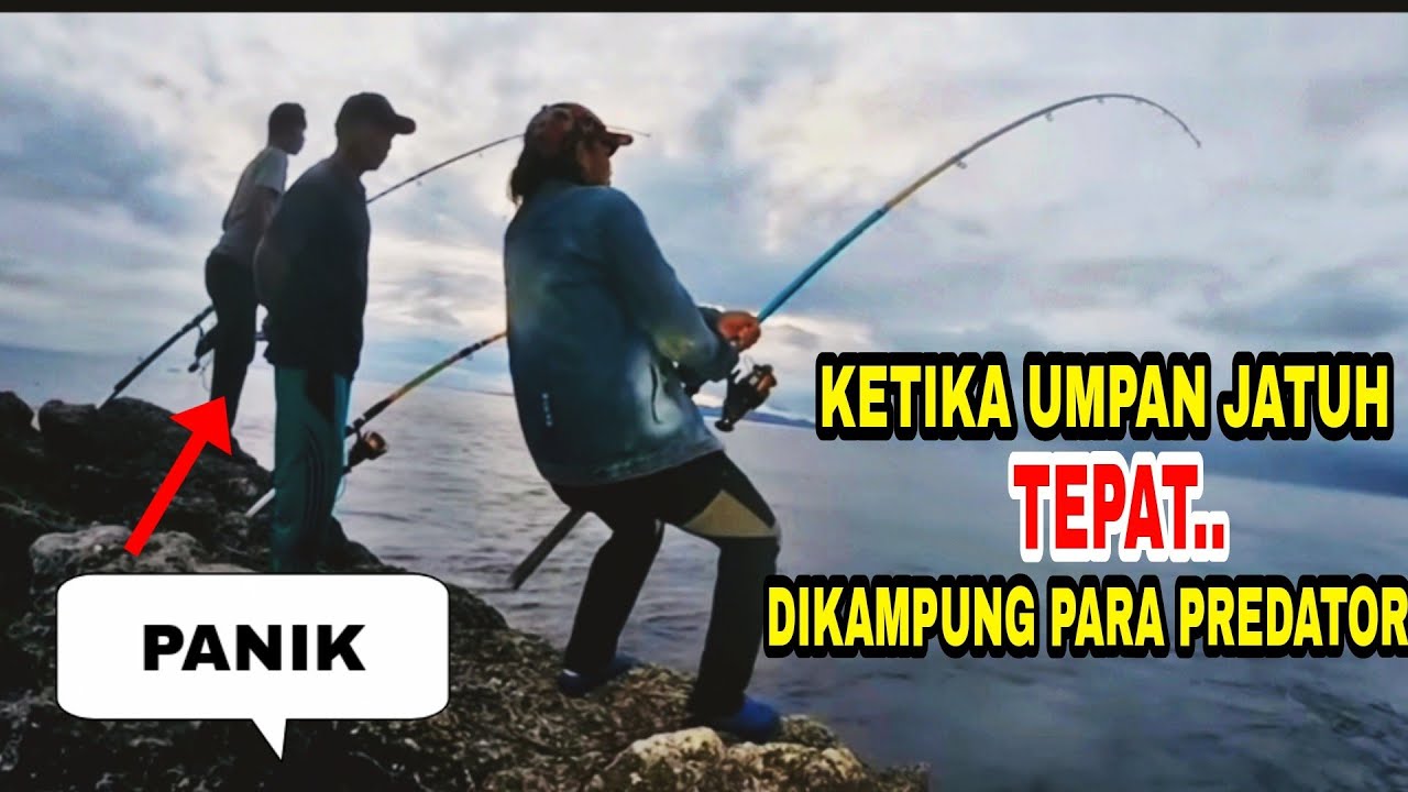 ⛔  Tarikan monster di pagi  hari ,  rell    menangis  sampai sakit pinggang ❗
