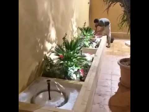 تنسيق حدائق تبوك ابو 056 470 7348 Youtube