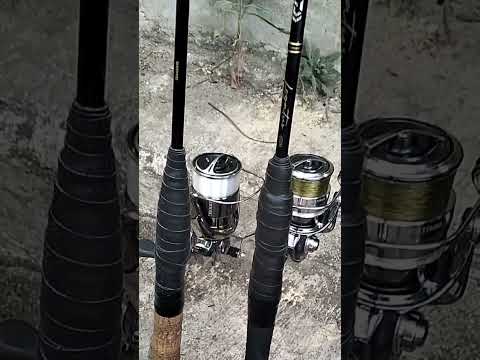 Shimano Stella FK