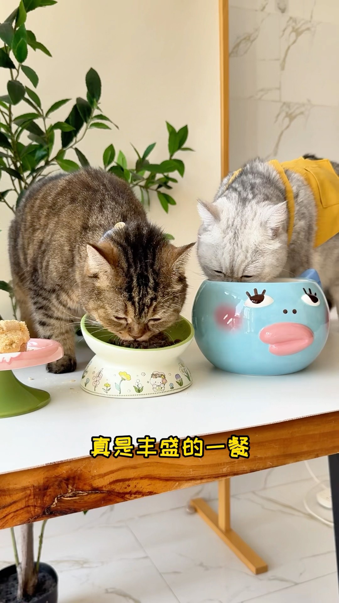 Chang'an is on holiday today. I've prepared a lot of food for him.