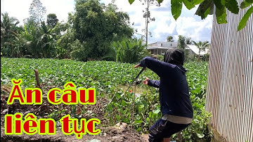 River Catfish Fishing | Fishing with Rod and Machine and Eating Fish Continuously Is So Addicted ...