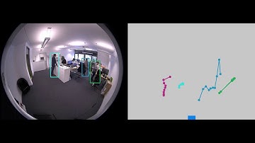 HemiStereo NX: People Tracking