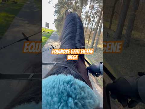 Equinoxe geht eigene Wege Manchmal hilft eben nur Plan B