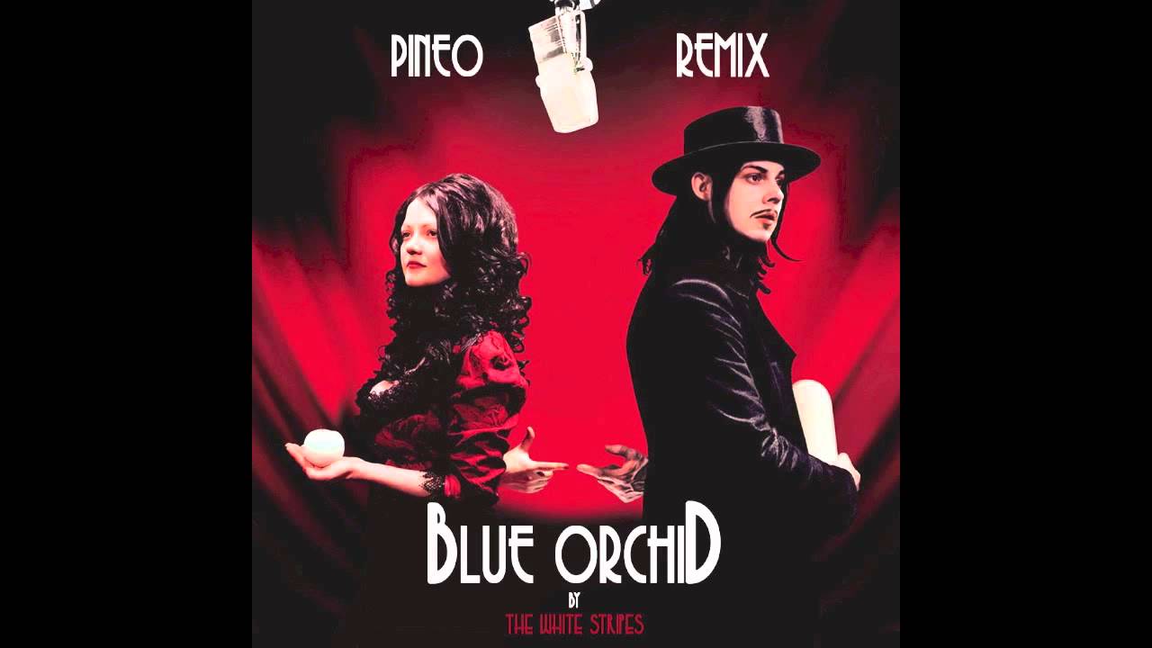 The White Stripes Blue Orchid (PINEO & LOEB Remix) YouTube