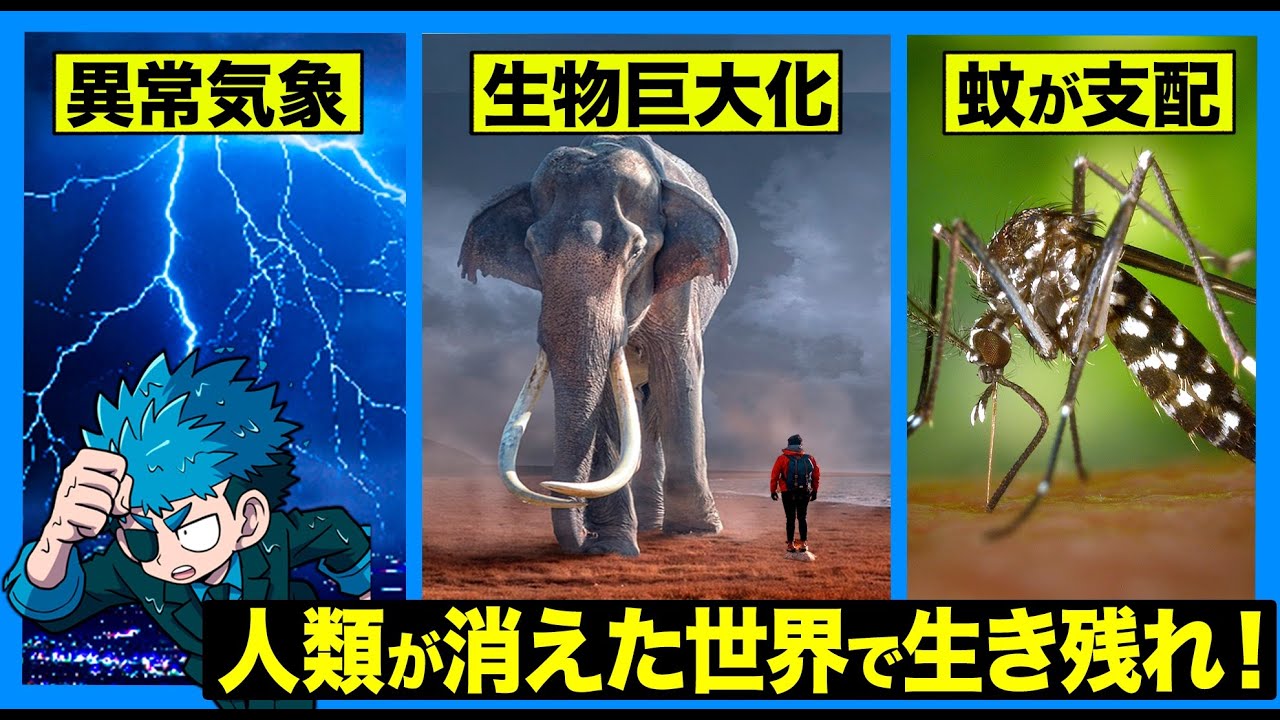 人類が消えた世界 Amazon.co.jp: 人類が消えた世界 : アラン・ワイズマン, 鬼澤忍: 本