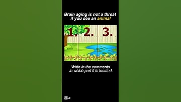 IQ test №66 for visual-spatial perception / #find #iqtest #opticalillusion #quiz #iq #puzzle