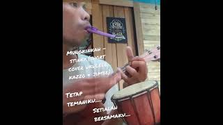 Mungkinkah - Stinky (short cover ukulele, kazzo & jimbe).  #shorts #chord #chordukulele #cover