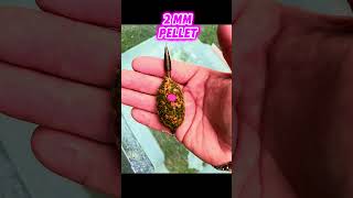 Underwater comparison pellet vs groundbait #methodfeeder #fishing #carpfishing #wędkarstwo  #carp