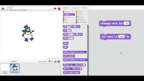 Scratch Tutorial - What is the difference between change size and set size block?