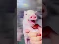 Se parecen un poquito #humor #yosoydelos7mil #viralvideo #funny #elpersonajedelasemana
