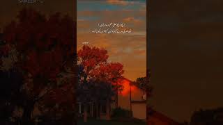 𝘜𝘳𝘥𝘶 𝘱𝘰𝘦𝘵𝘳𝘺 𝘷𝘪𝘥𝘦𝘰