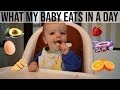 WHAT MY BABY ATE IN A DAY | 9 MONTHS | BABY LED WEANING