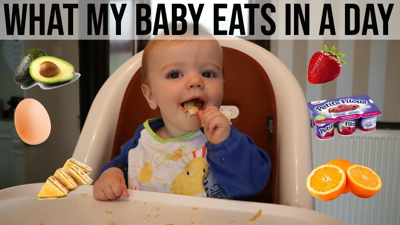 WHAT MY BABY ATE IN A DAY 9 MONTHS BABY LED WEANING YouTube