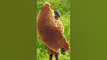 #aiart #relaxing #viralshort #viral #creative #ai #trendingshorts #nature #trending