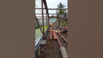 Thumbnail of hidroponik green house dari bahan kayu #andri_farm #shortsvideo #hidroponik