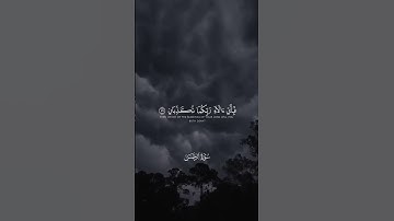 ما تيسر من سورة الرحمن بصوت رائع
