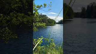 Длинные озёра, Латвия #природа #путешествия /Lake line Garezeri, Latvia #nature #tourism