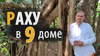 РАХУ в 9 ДЕВЯТОМ доме | Дмитрий Пономарев
