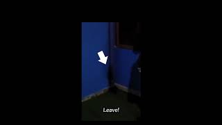Real Shadow Entity Caught On Video! Scary Comp