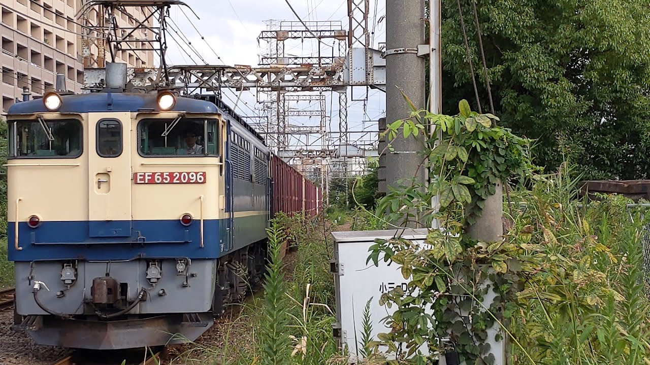 隅田川シャトル Jr貨物 Ef65 96号機 コキb 新a65仕業 77レ 隅田川行 小田栄駅通過 Youtube