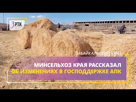 Минсельхоз края рассказал об изменениях в господдержке АПК