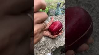 Download Lagu Buah apel manis #buahbuahansegar MP3