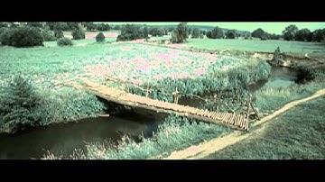 OST Daisy movie (Engsub+Rom+Hangeul+Vietsub)