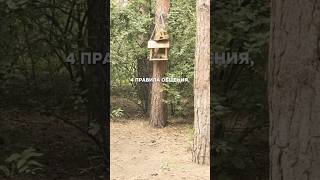 4 правила общения #мысливслух