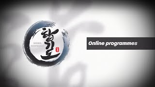 Online Hapkido Martial Arts Program screenshot 4