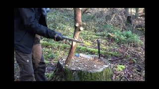 TRC Apocalypse chopping test; 6-8cm pine branch