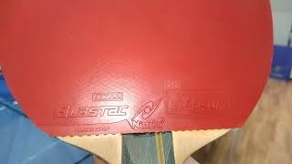 ニッタク ブラスタック バタフライ ロゼナ 打ち比べ Nittaku Blastac BUTTERFLY Rozena #卓トレ春日部豊春店 #卓球 #pingpong #tabletennis