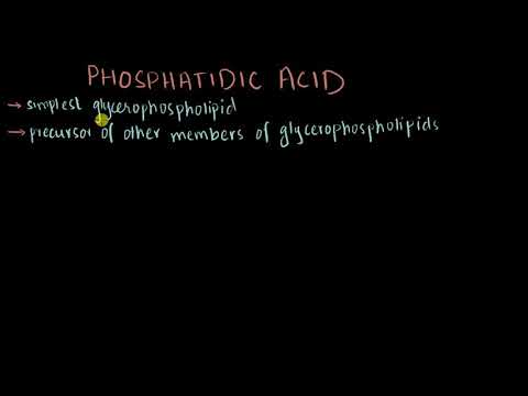 Phosphatidic acid | Structure & Biosynthesis
